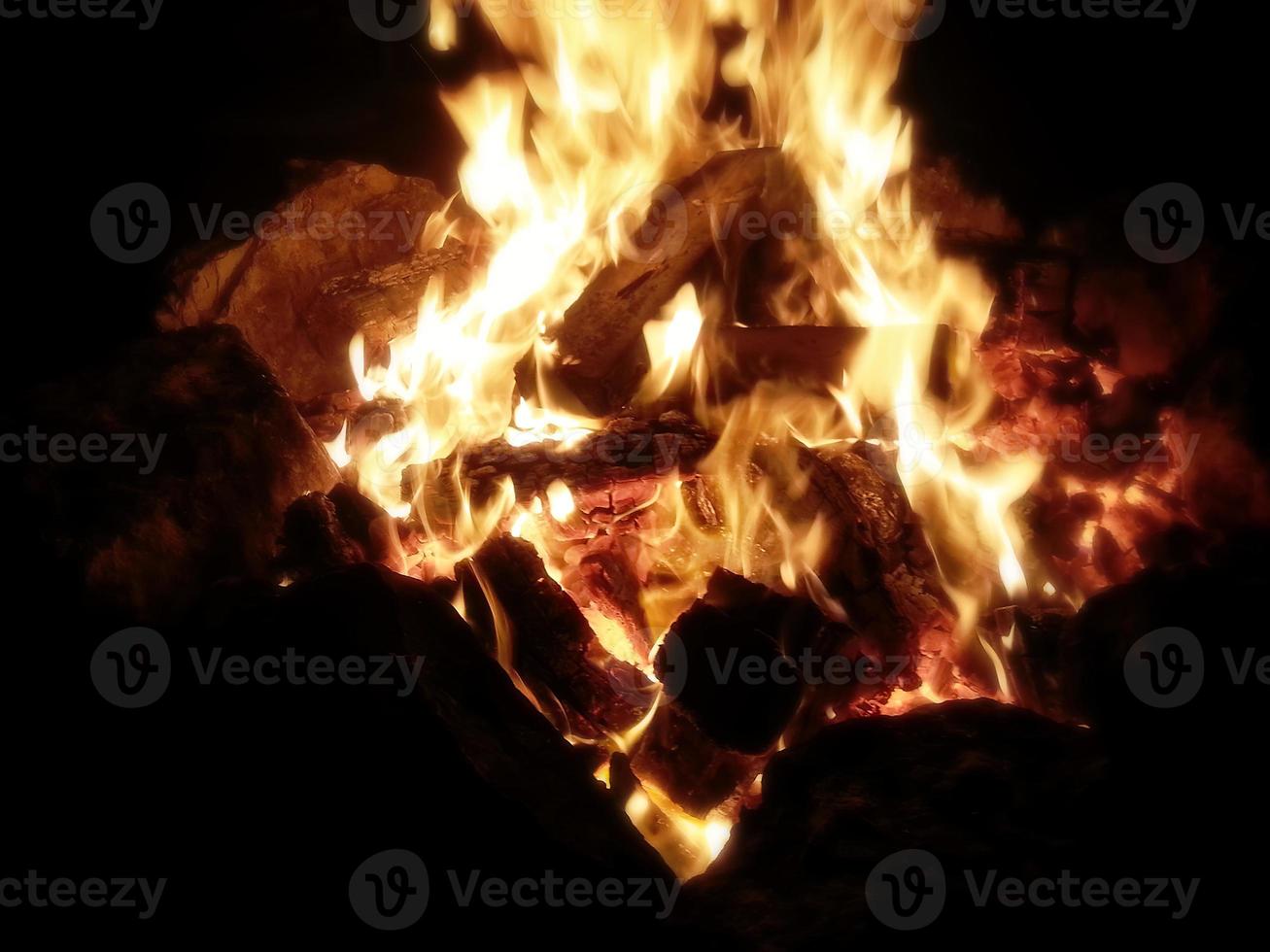 Extreme Close-Up on trees burned in the fire photo