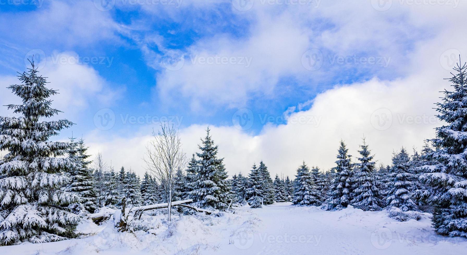 paisaje invernal en la montaña brocken, montañas harz, alemania foto