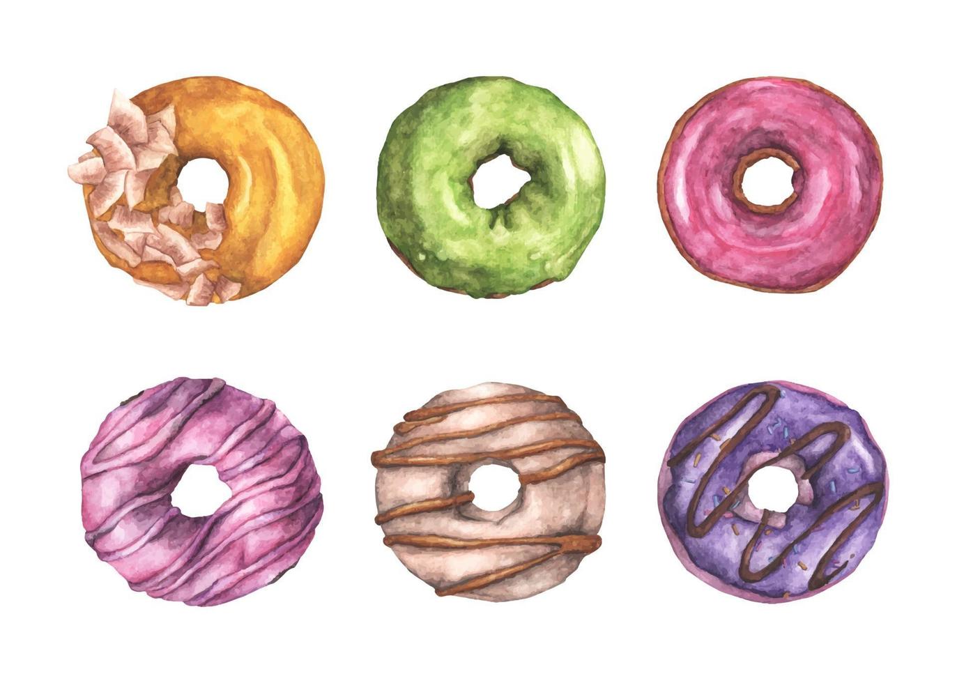 Set of colorful donuts. Watercolor illustration. vector