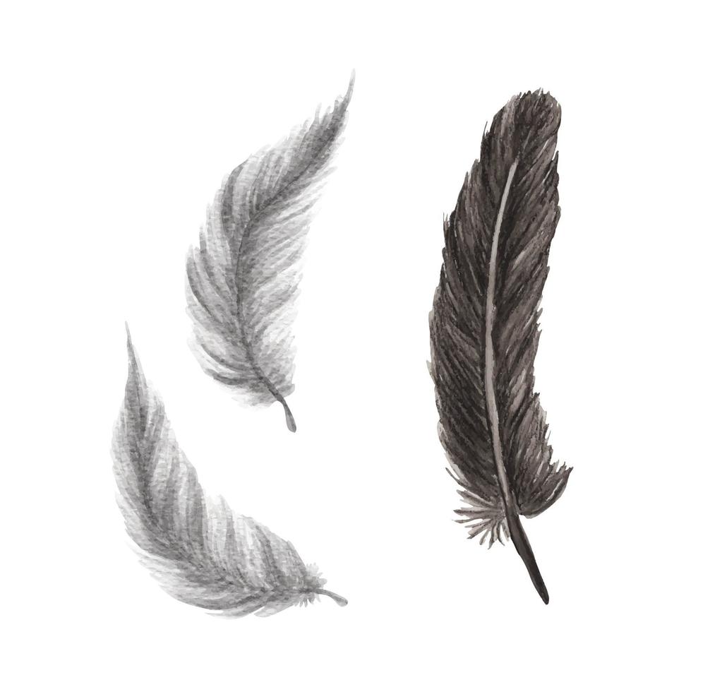 conjunto de plumas vibrantes. pluma de ave. Ilustración acuarela. vector