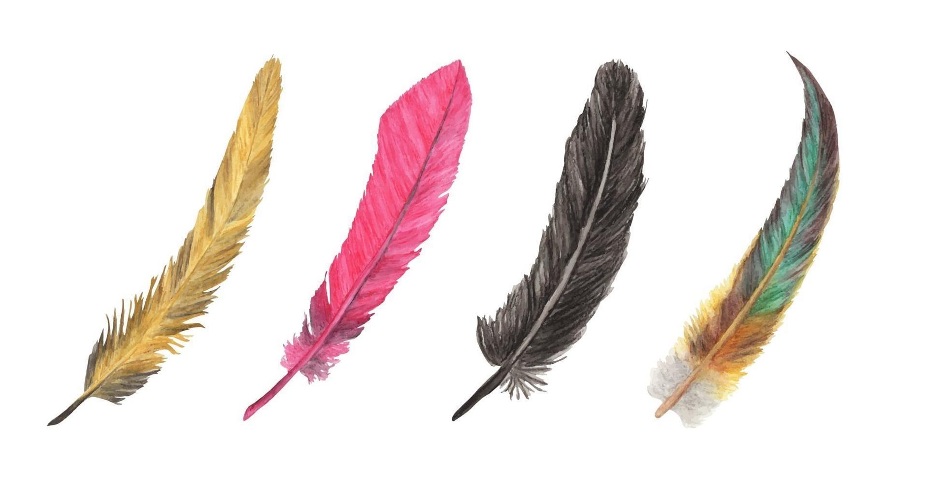 Vibrant feather set. Bird feather. Watercolor illustration. vector