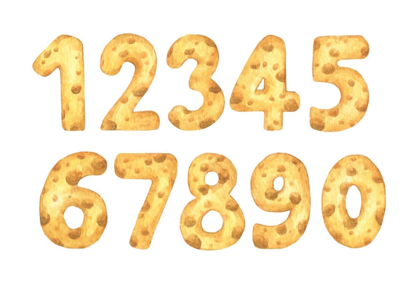 Set of cheese numbers from one to zero. Watercolor illustration. vector