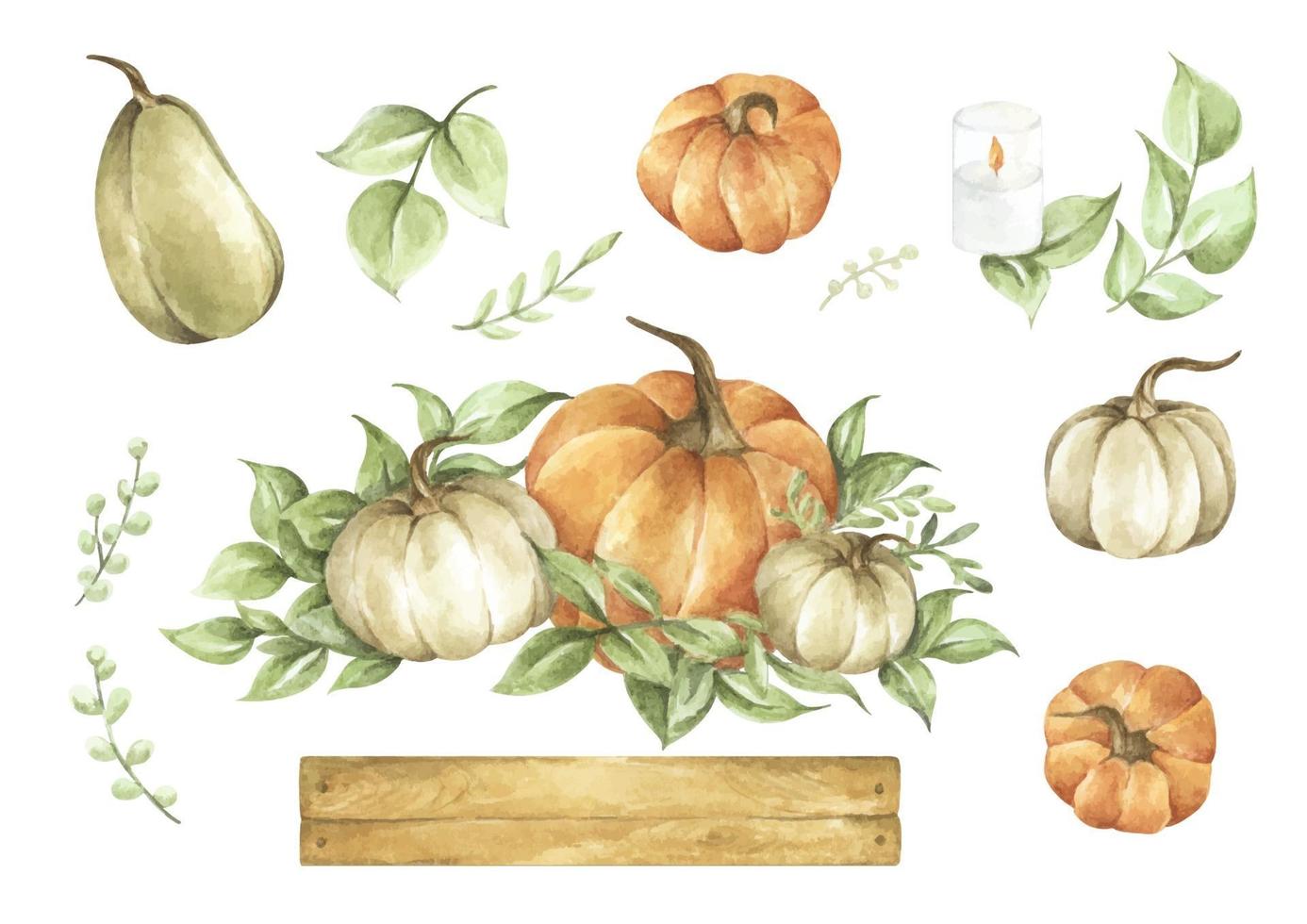 Watercolor pumpkins set. Autumn decoration floral design. vector