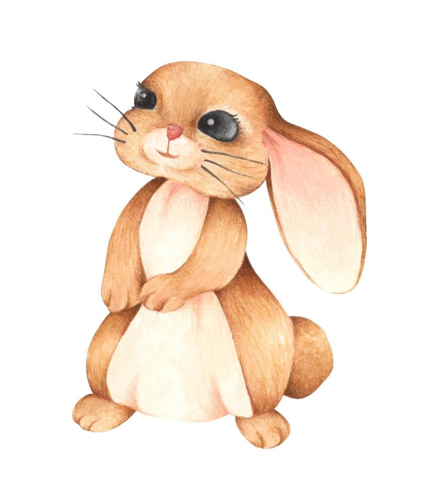 Brown rabbit. Watercolor and colored pencil illustration. 3069937