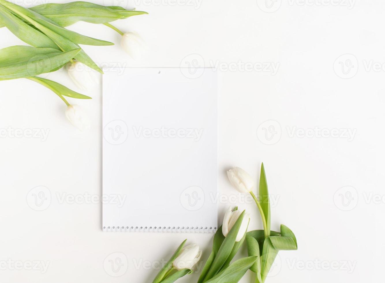 Vista superior del calendario en blanco con tulipanes blancos sobre fondo blanco. foto
