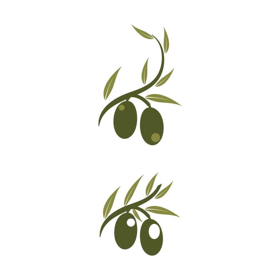 olive icon vector illustration