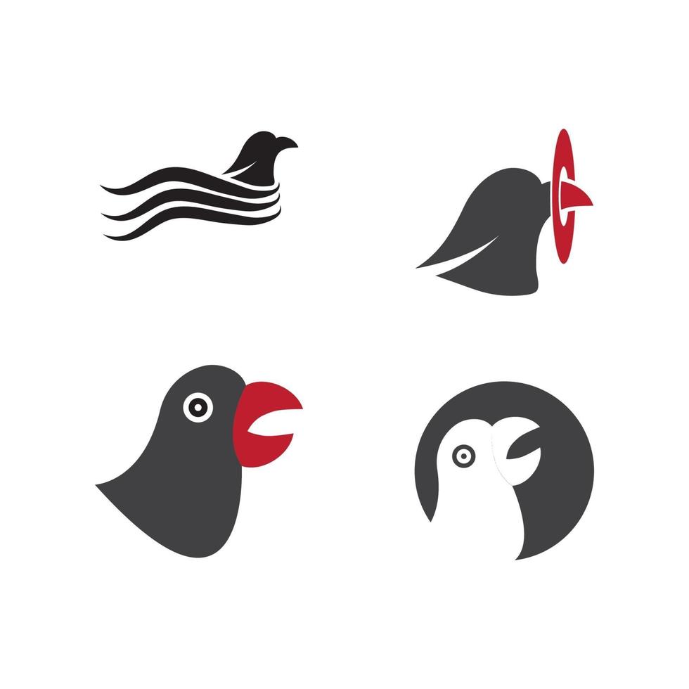 Establecer el símbolo de vector de plantilla de logotipo de onda de pájaro halcón águila