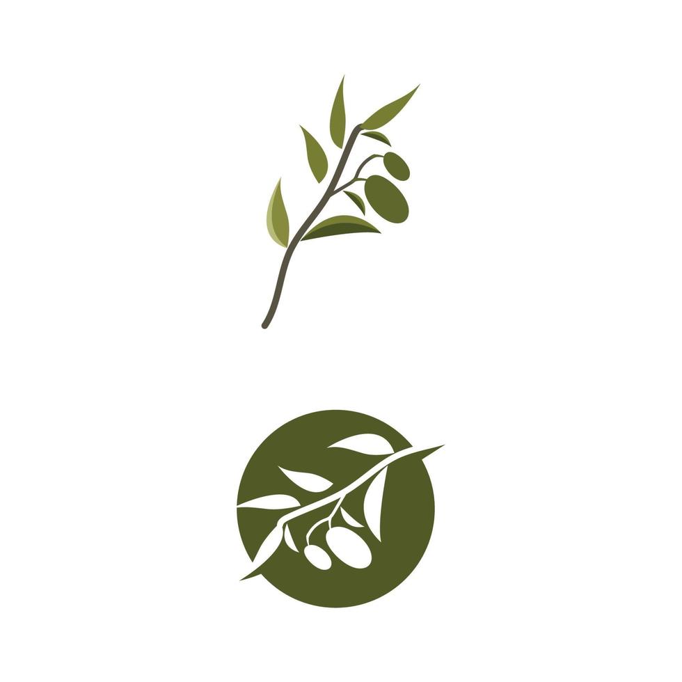 olive icon vector illustration