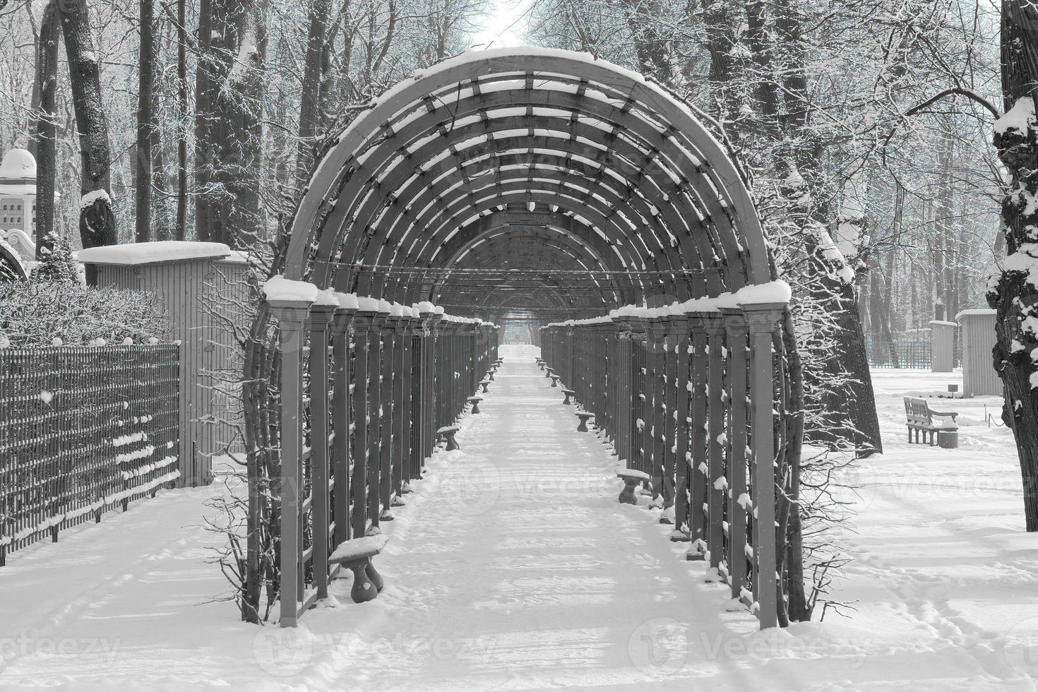 Arco de enrejado en el callejón Summer Garden Park en San Petersburgo, Rusia foto