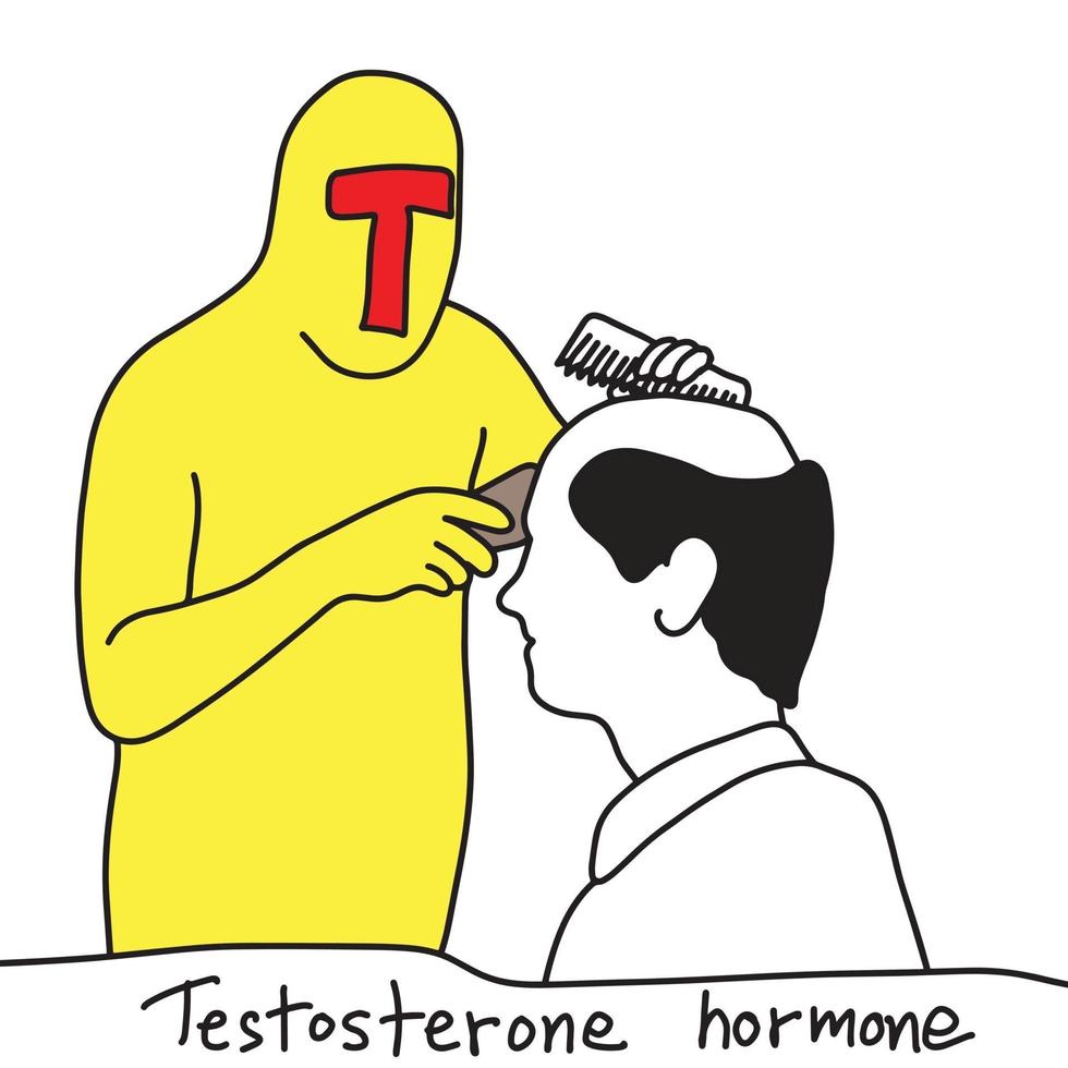 función metáfora de la hormona testosterona i vector