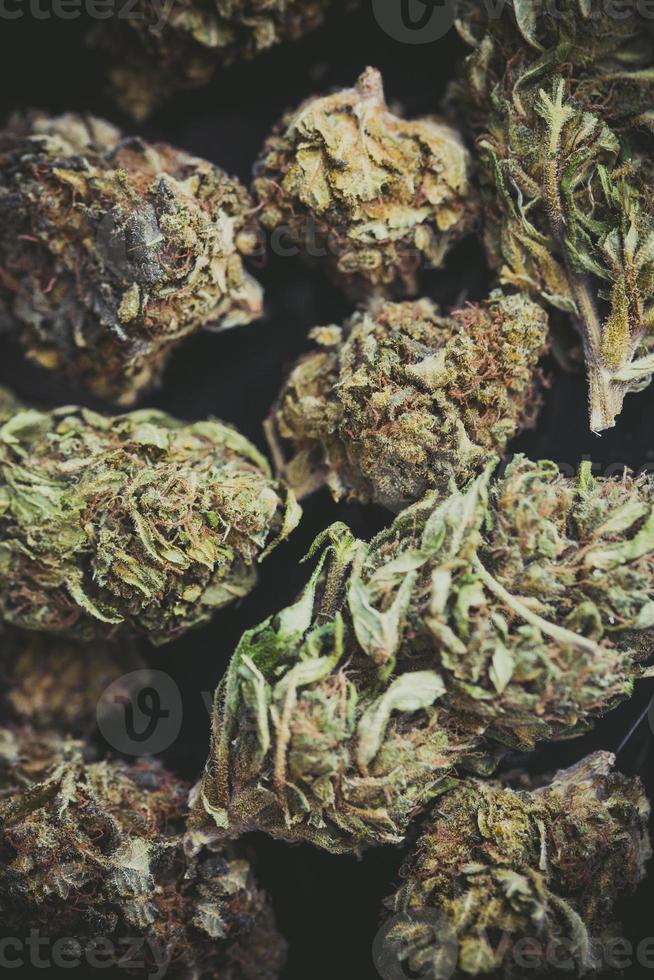 Detail of a flower of marijuana buds photo