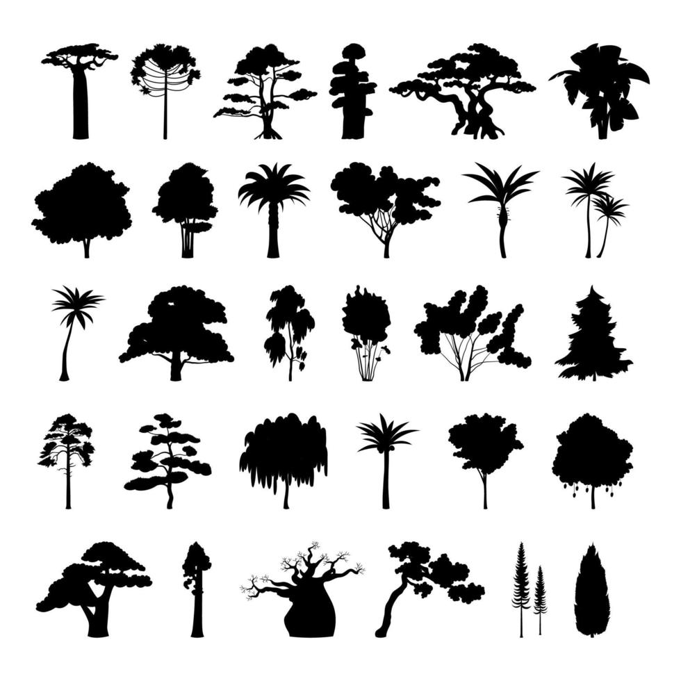 Seth black silhouettes of trees from different climatic zones vector