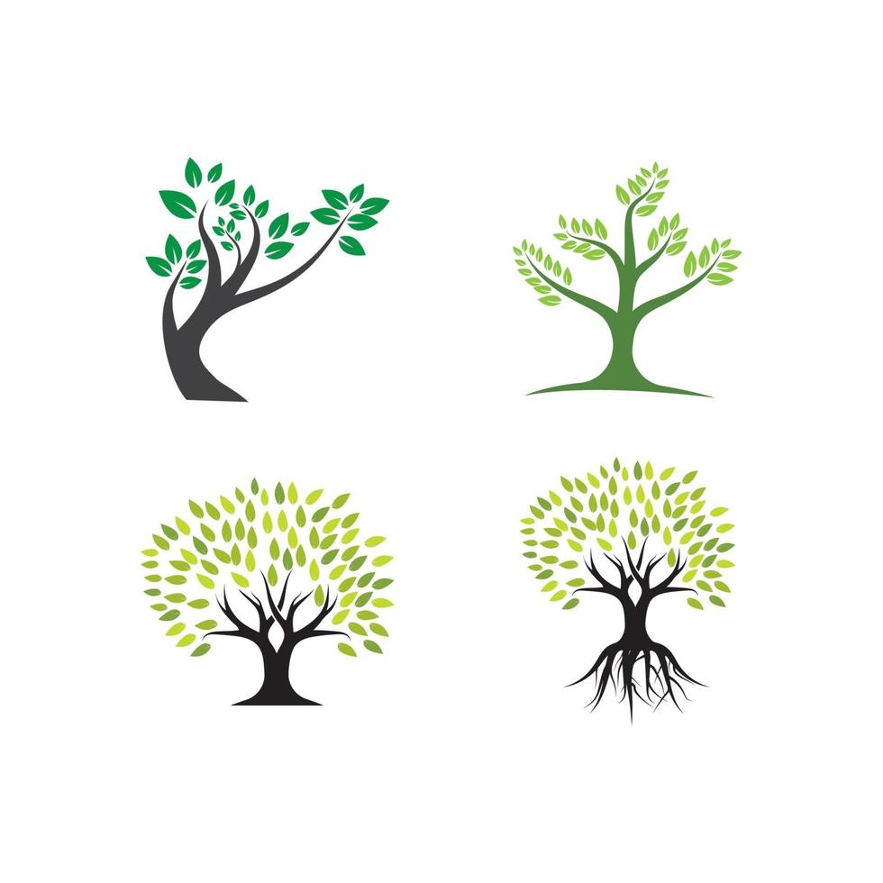 Tree logo template vector