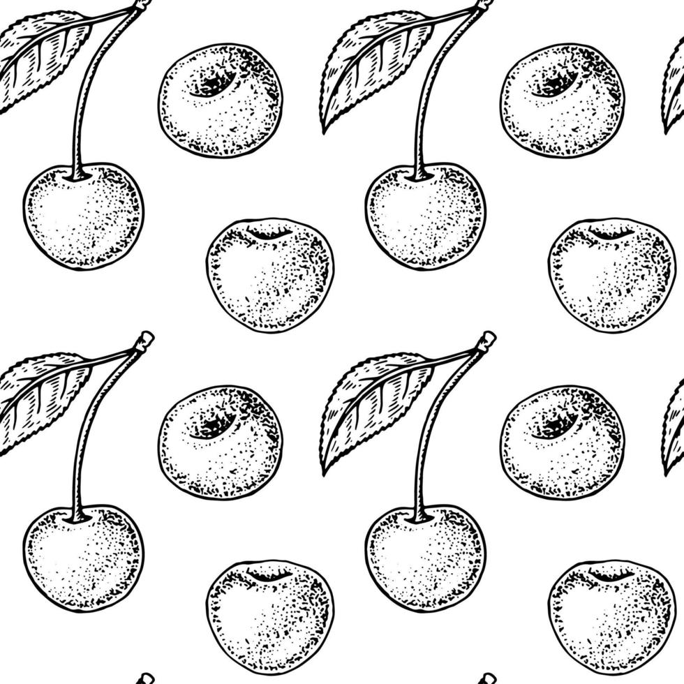 Hand drawn cherry seamless pattern. vector