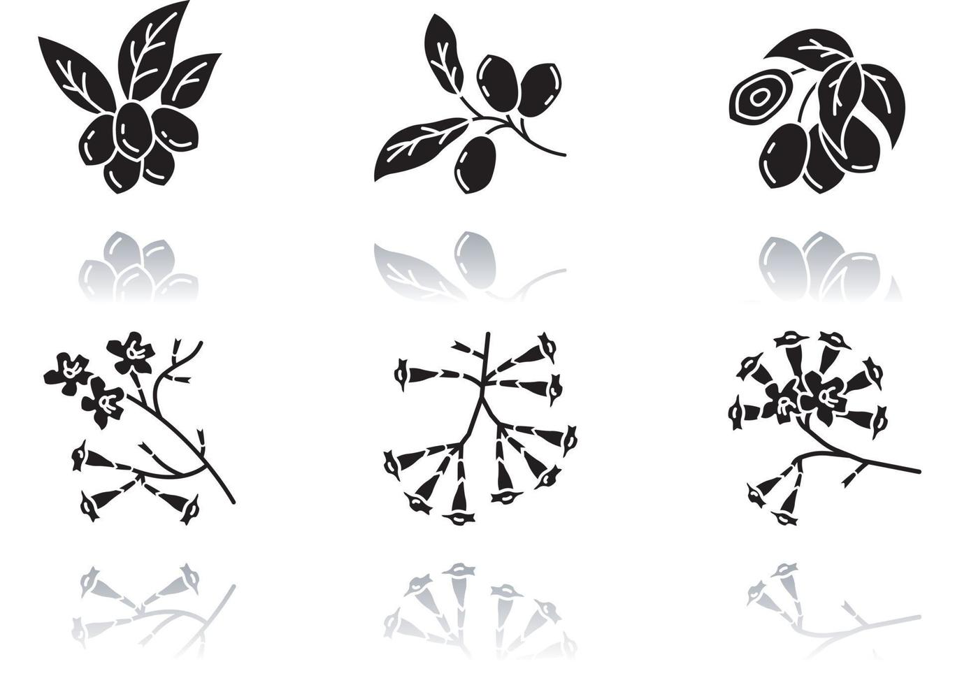 flora brasileña, sombra, negro, glifo, iconos, conjunto vector