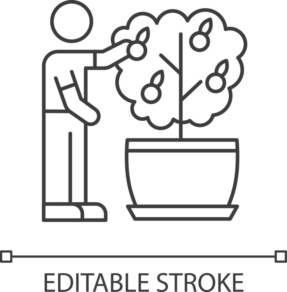 recolectando fruta del icono lineal perfecto de mini árbol de cítricos pixel vector