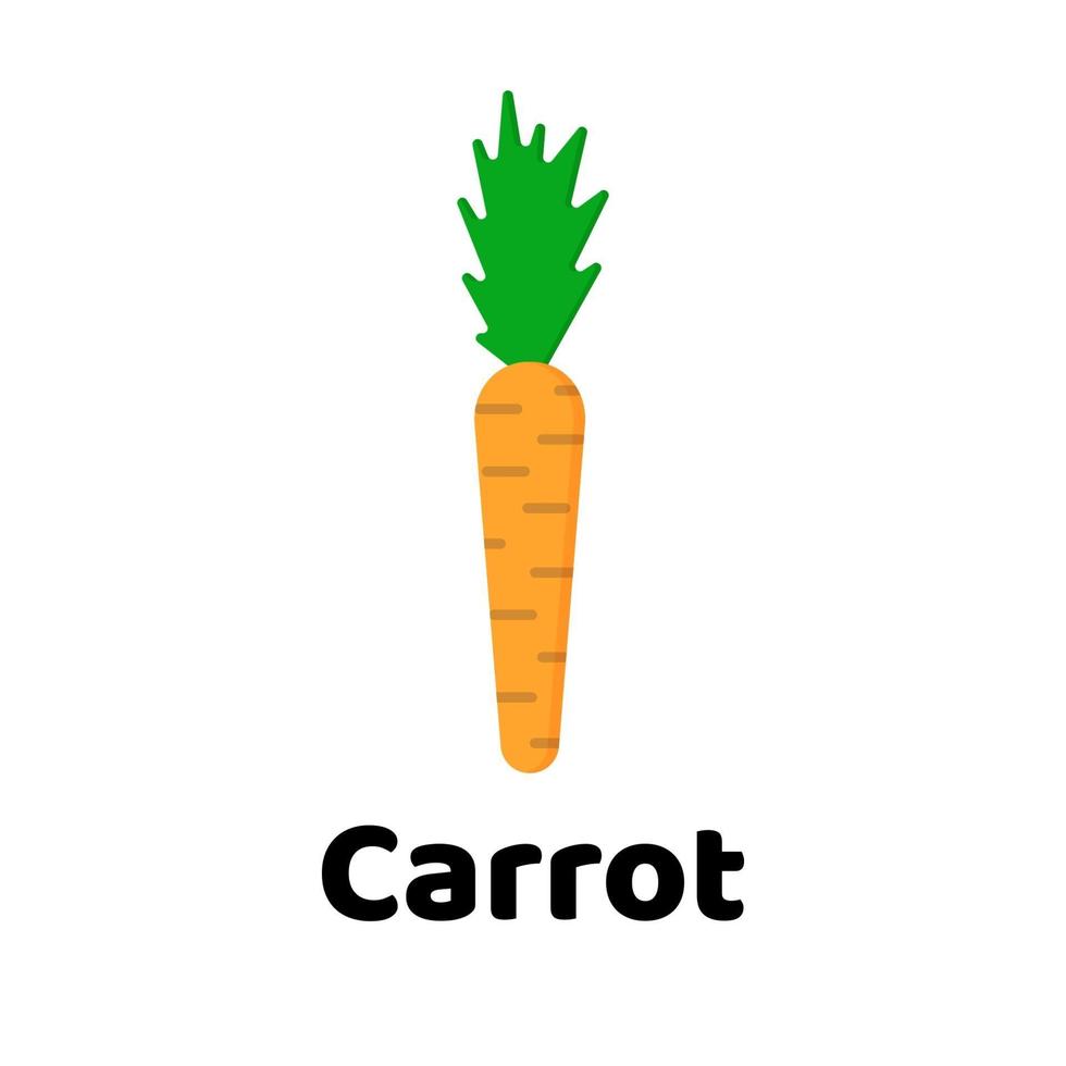 ilustración vectorial. vegetal. zanahoria vector