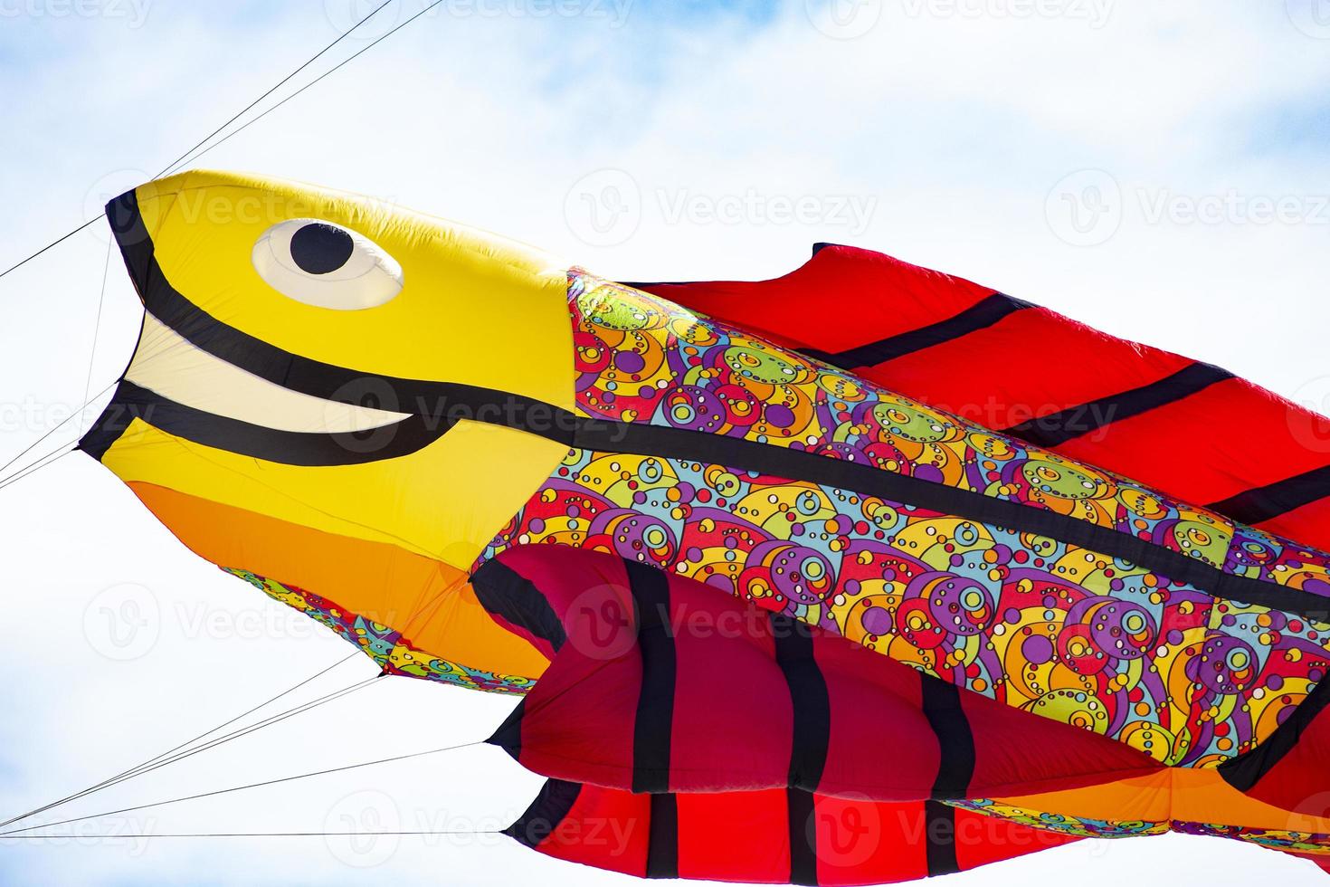 Flying fish-shaped kite photo
