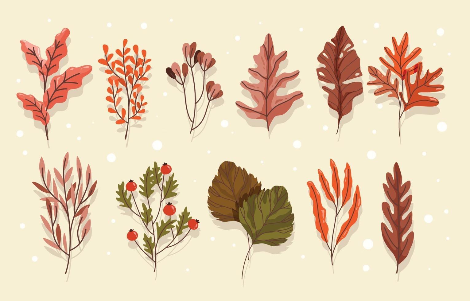 Diverse Autumn Leaves vector
