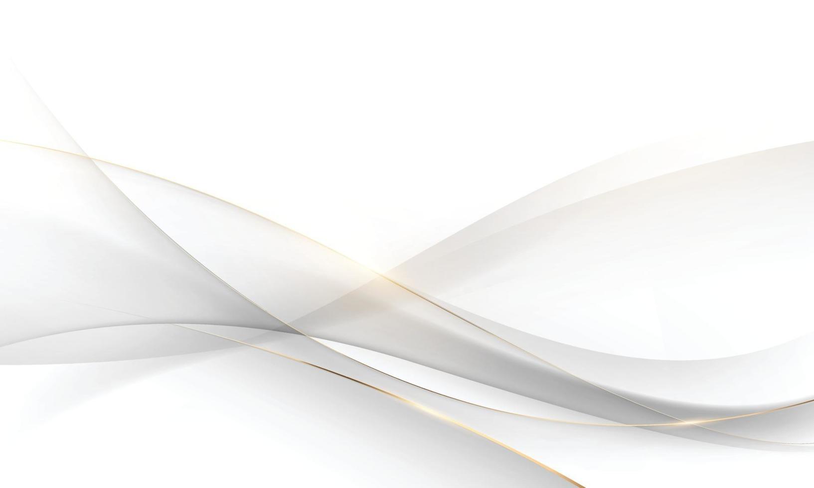 white gray abstract luxury background designed with golden lines vector