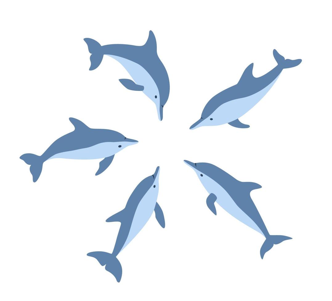 Five dolphins in a circle look at one place. Isolated vector