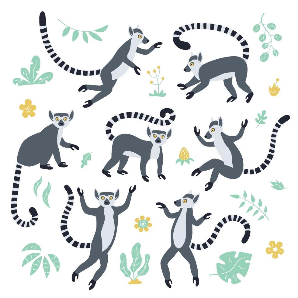 lindos lémures de cola anillada y plantas tropicales. lemur catta exótico. vector