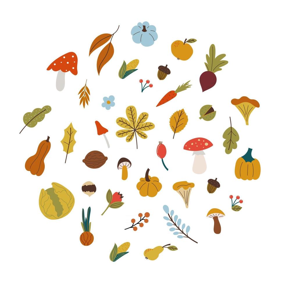 autumn leaves , mushroom, vegetables in flat style vector