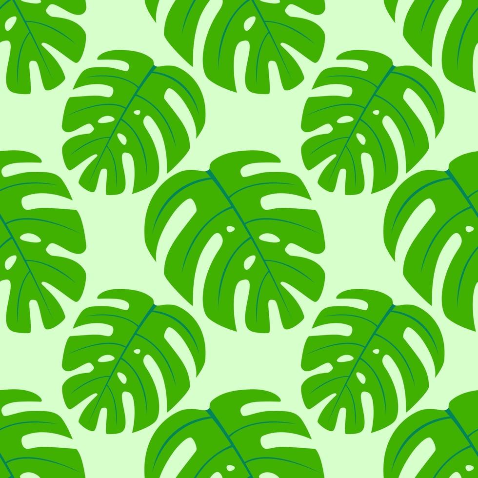 fondo de color transparente monstera vector