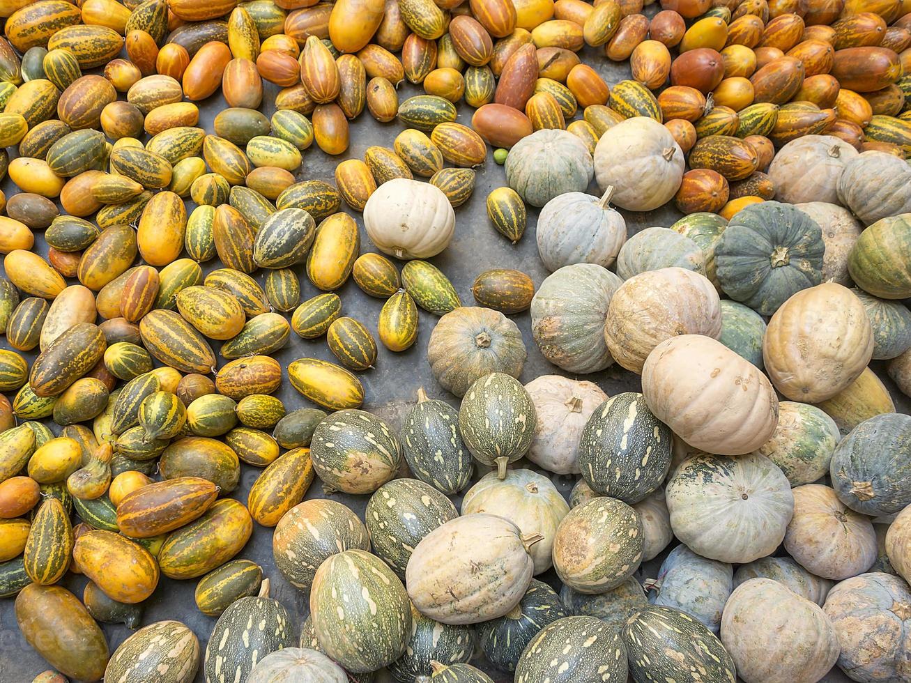 Indian pumpkin, stripy yellow sambar, malabar cucumber photo