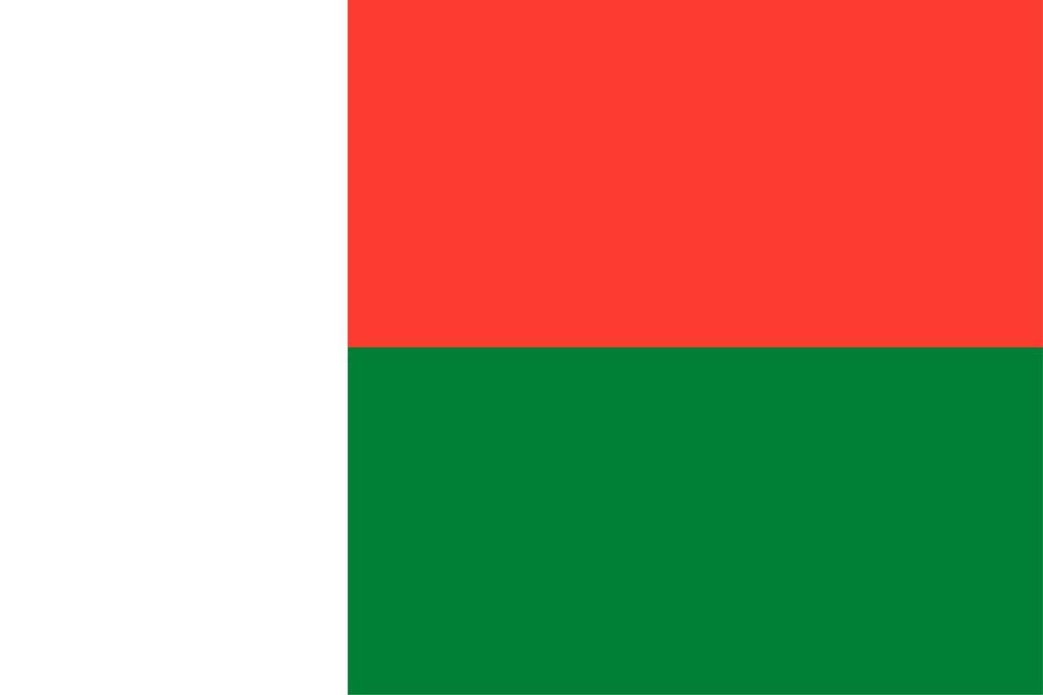 Malagasy Flag of Madagascar vector