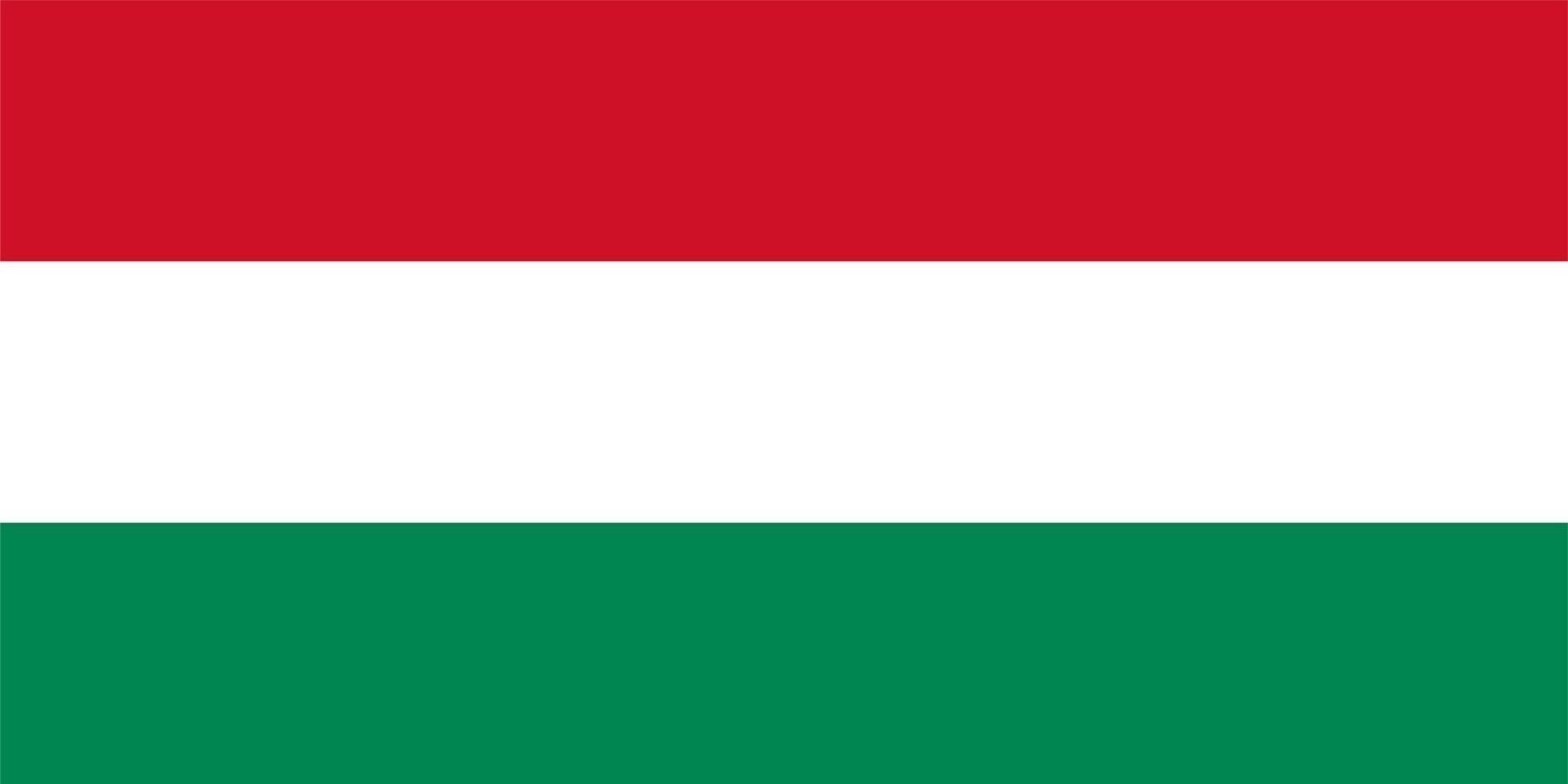 Hungarian Flag of Hungary vector