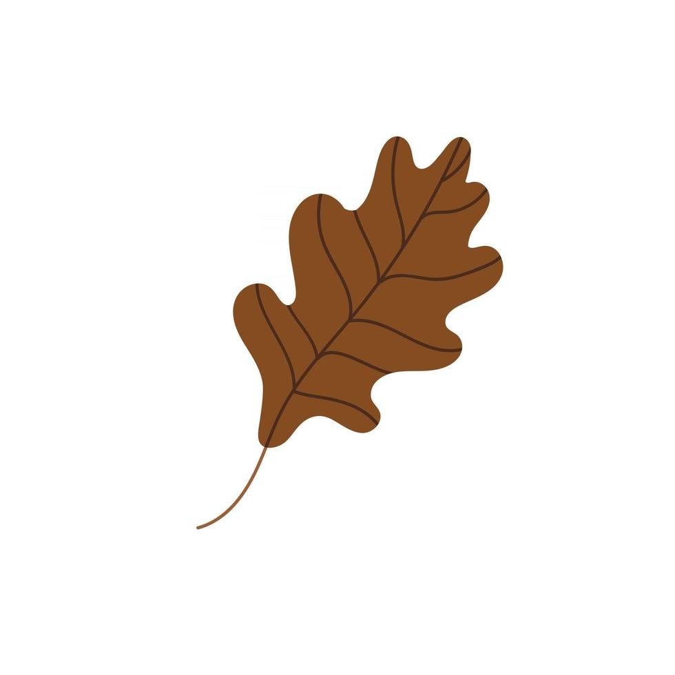 oak leaf. vector illustration