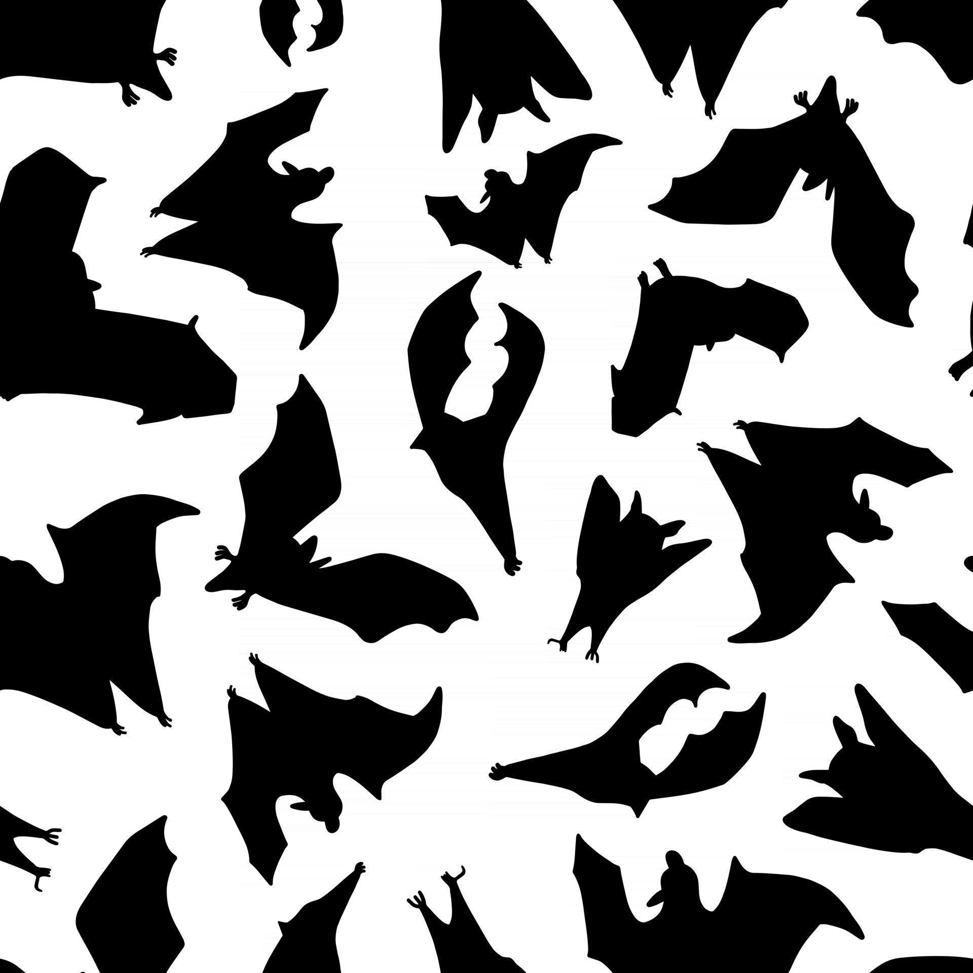 Bat seamless pattern 3077357 Vector Art at Vecteezy