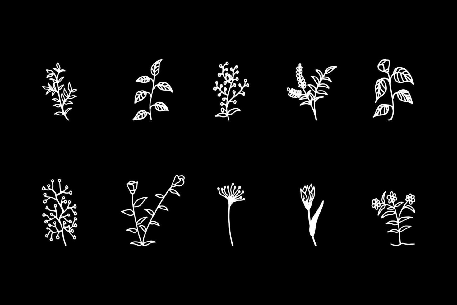 set of hand drawn flowers vector