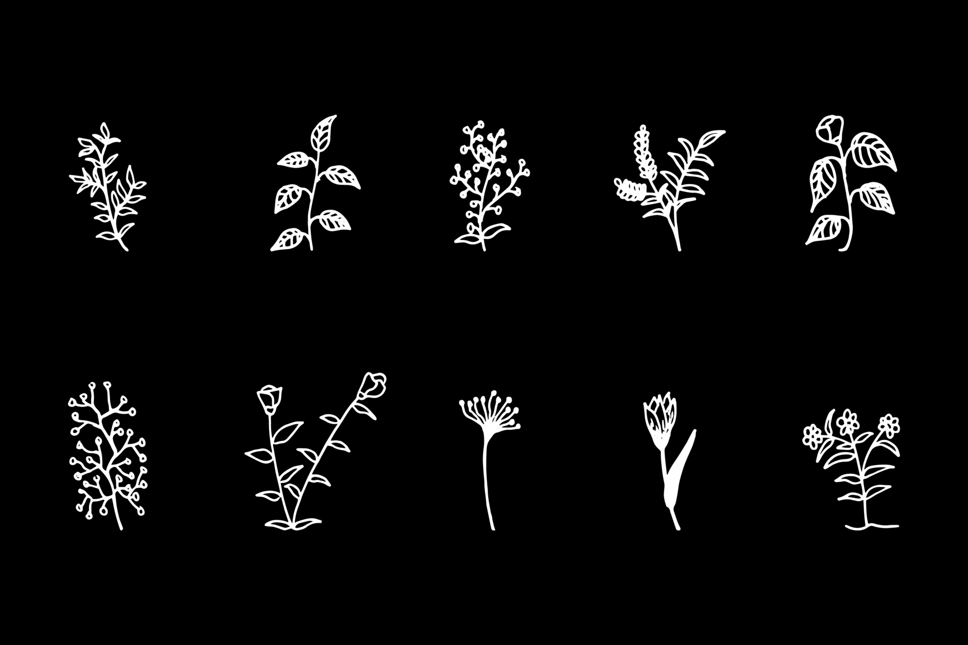 Various flowers doodle collection vector 3077452 Vector Art at Vecteezy