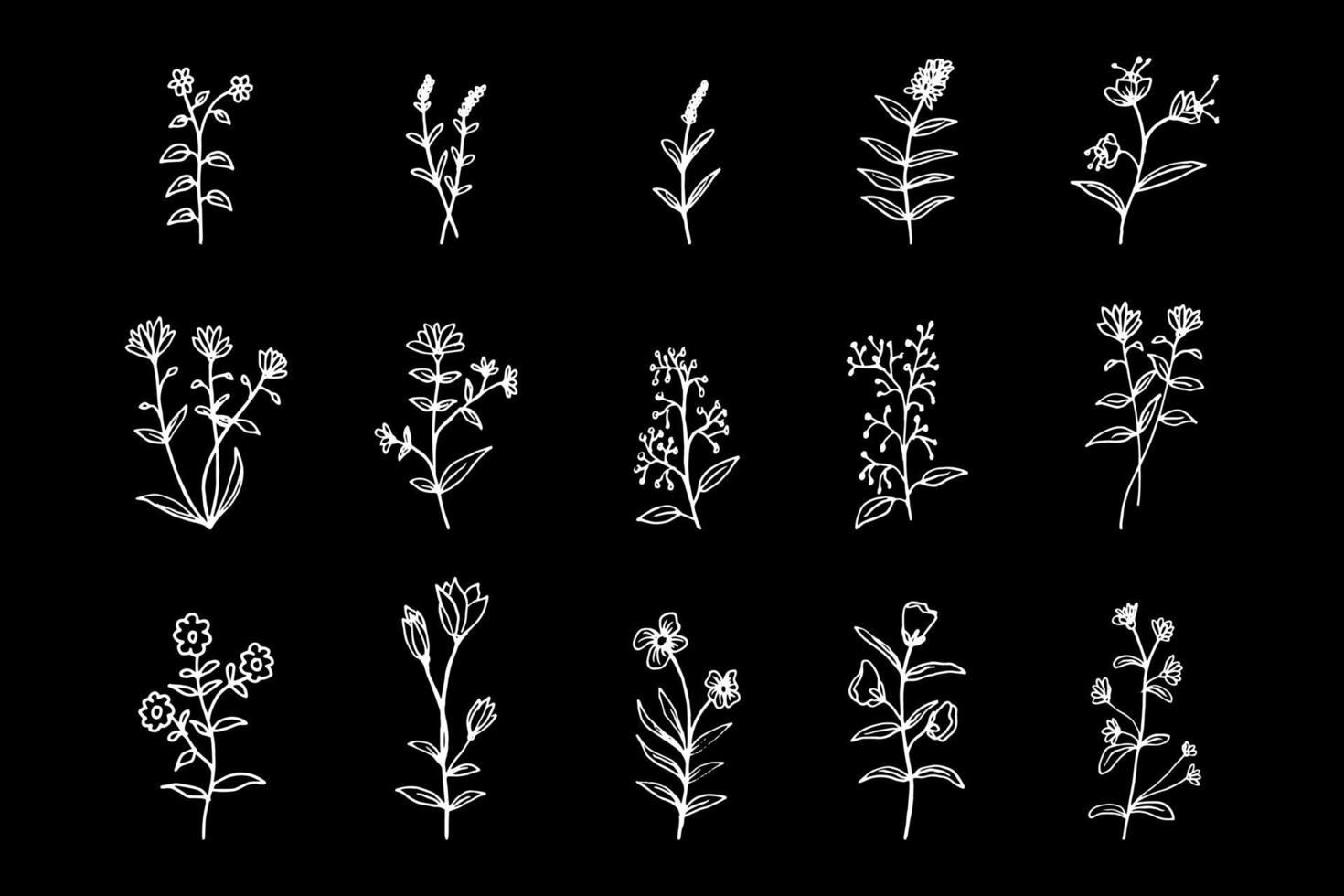 hand drawn isolated flowers vector