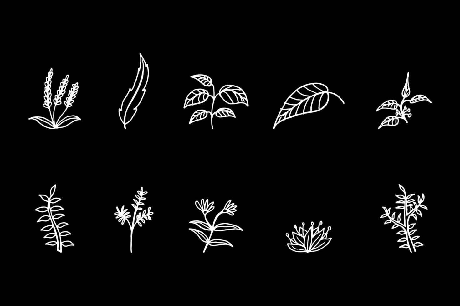 hand drawn isolated flowers vector