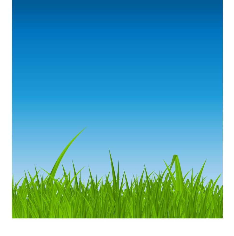 Summer Abstract Background with Grass. Vector Illustration.