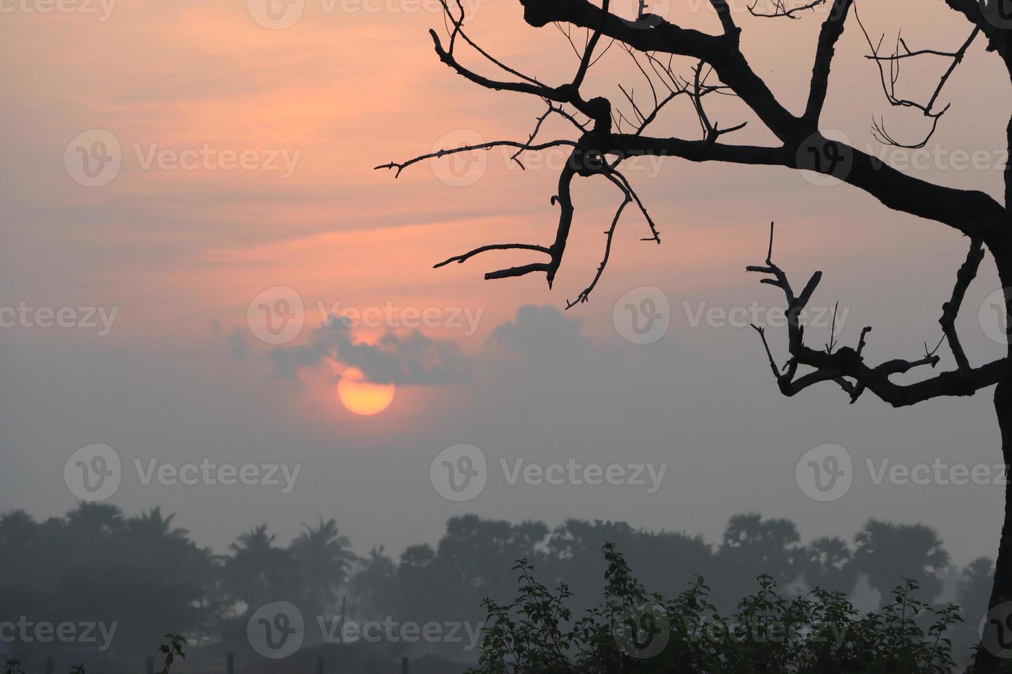 Beautiful view of Sunrise with Trees Silhouette  Tamil Nadu in India photo