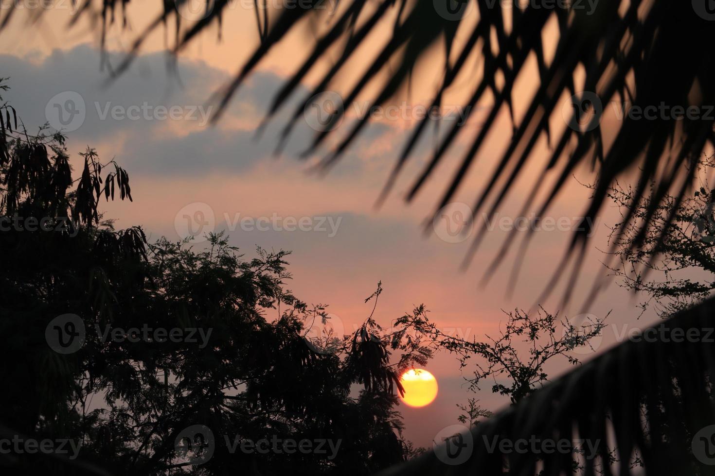 Beautiful view of Sunrise with Trees Silhouette  Tamil Nadu in India photo