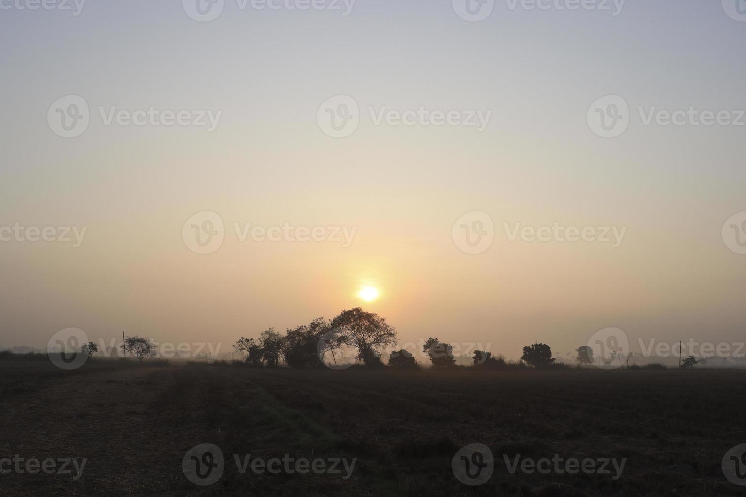 Hermosa vista del amanecer con árboles silueta de Tamil Nadu en India foto