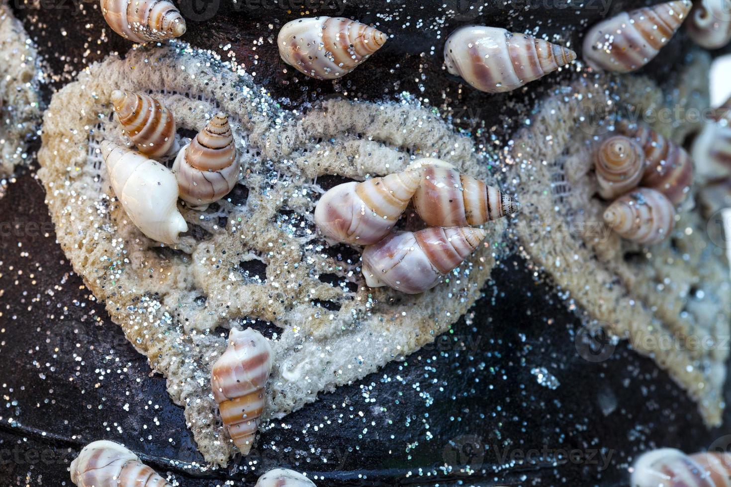 Sea Animal Dried Fish and Seashell photo