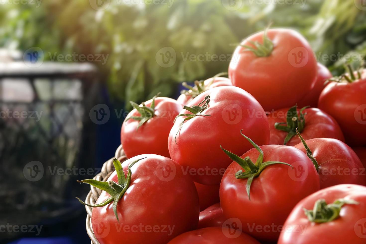 Tomate jugoso vegetal orgánico en el supermercado foto