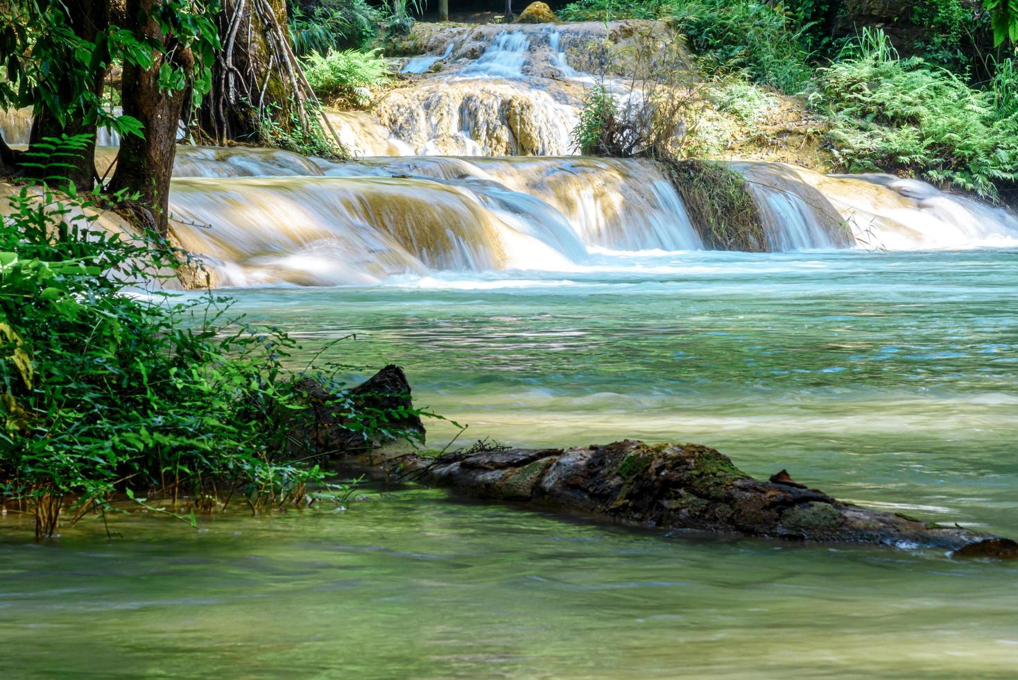 cascada de tad sae en luang prabang, laos foto