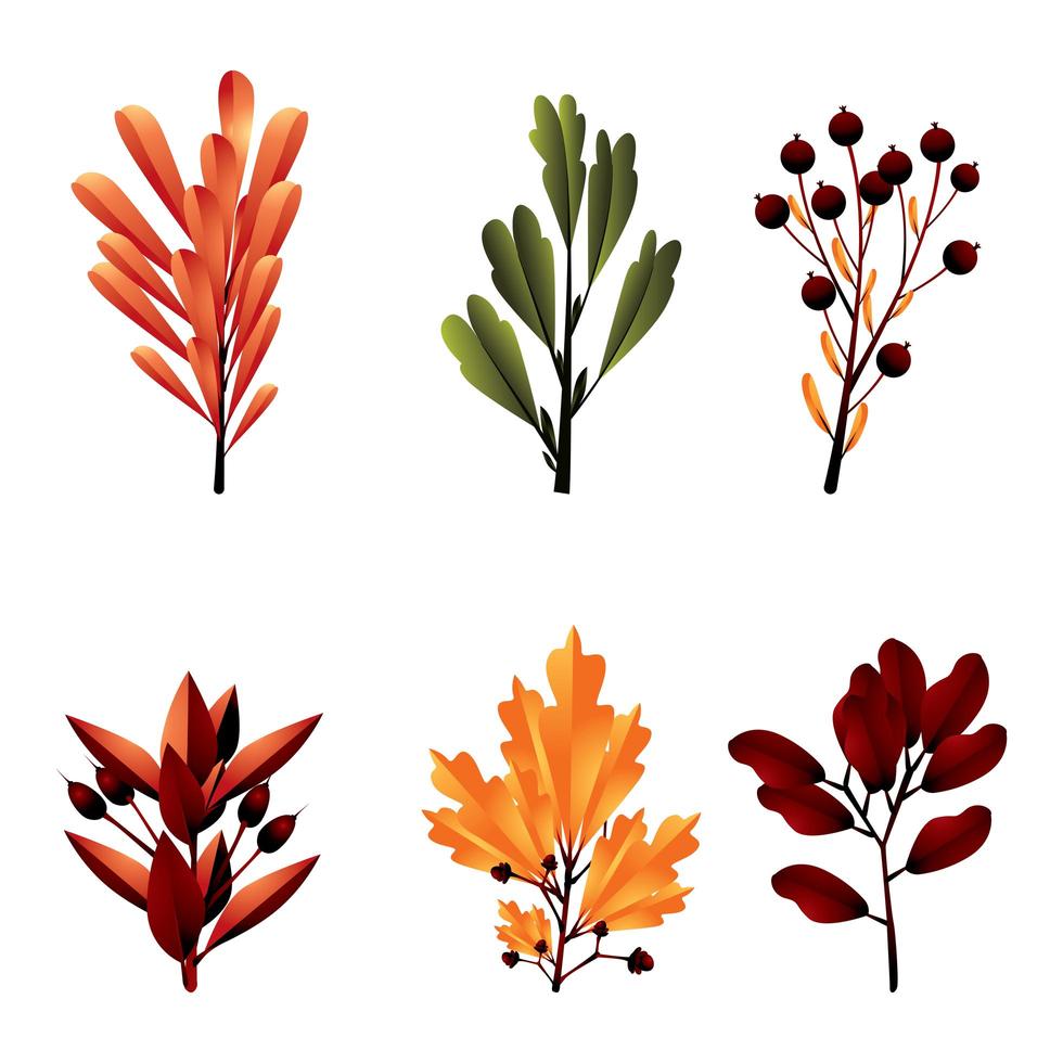 Autumn Leaf Icon Concept vector