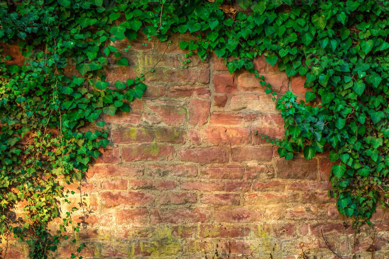 Textura de fondo de pared de ladrillo de piedra grunge foto