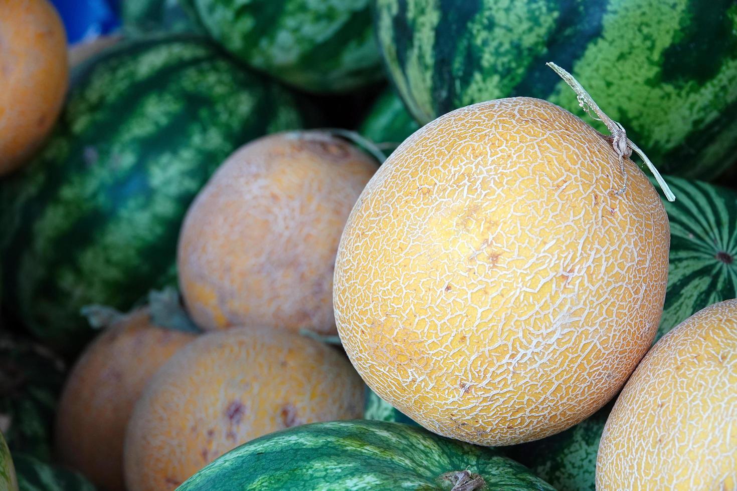 Delicious Organic Melon in Grocery Store photo