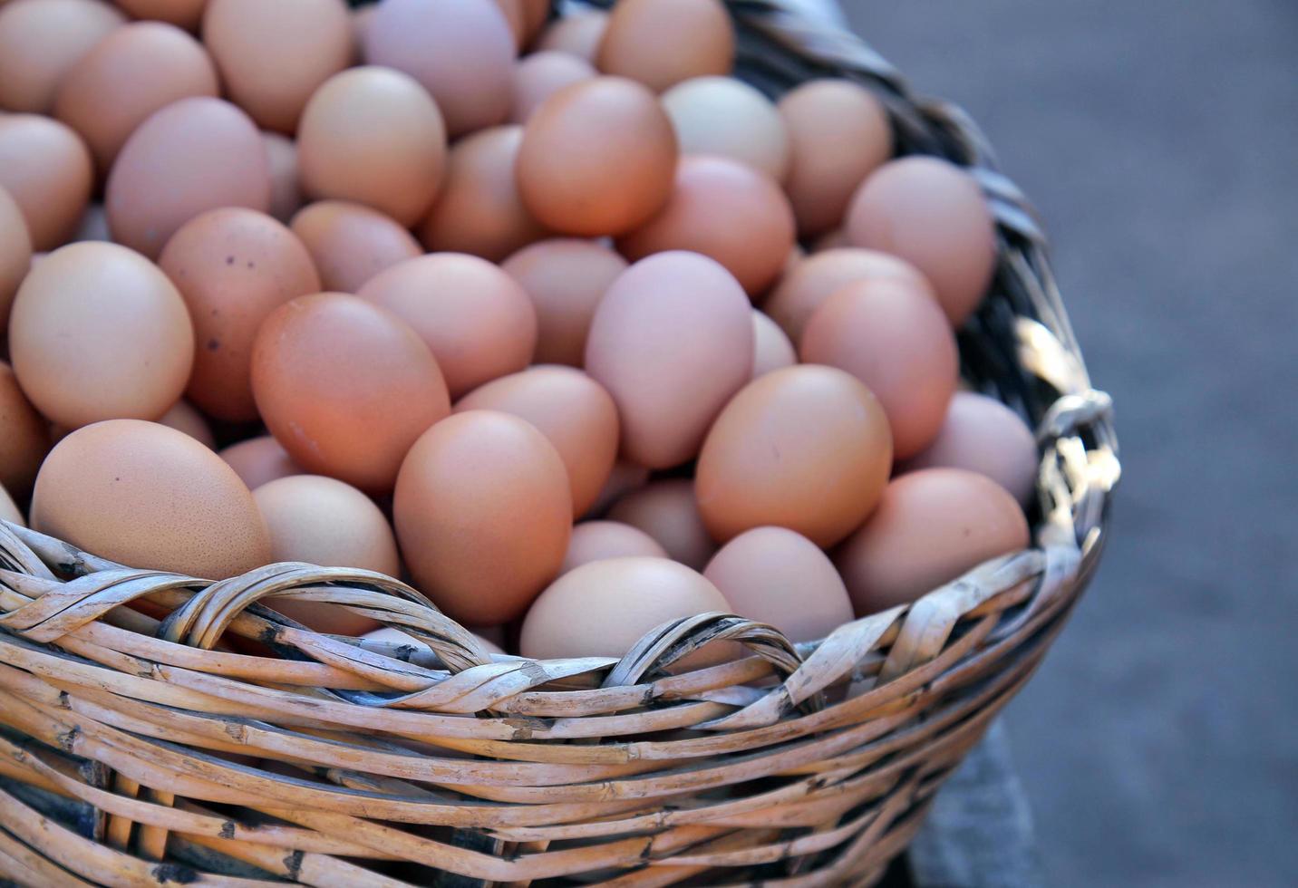 alimentos proteína orgánica pollo huevos crudos foto