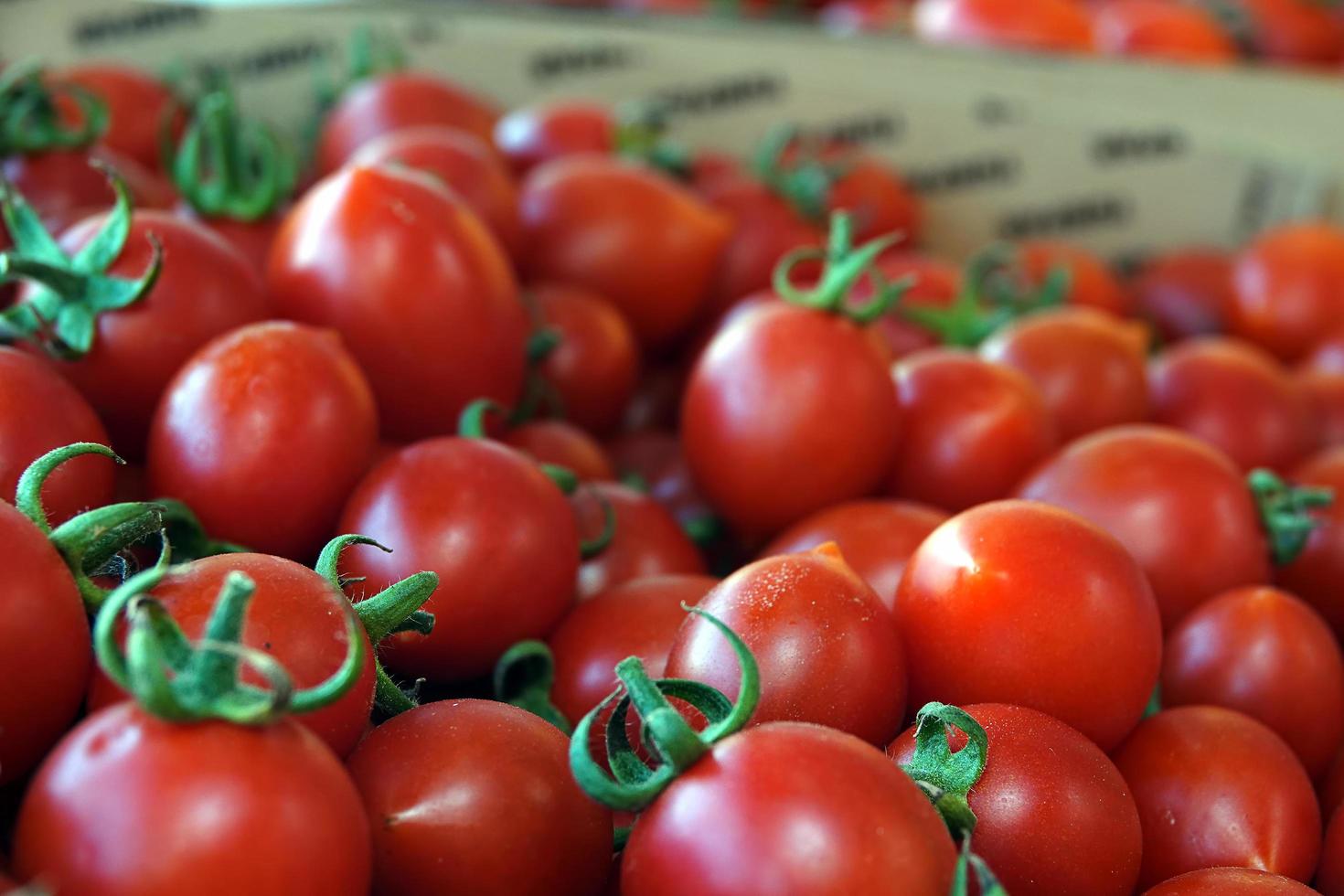 Tomate jugoso vegetal orgánico en el supermercado foto