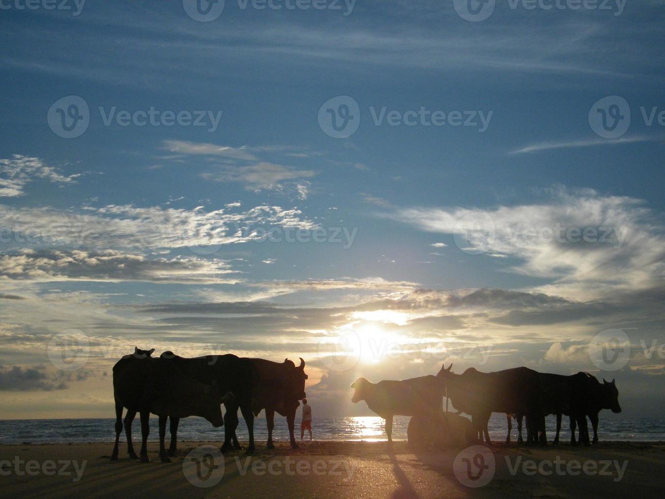 A crazy sunset in India Views of the India photo